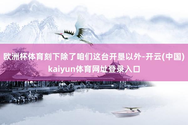 欧洲杯体育刻下除了咱们这台开垦以外-开云(中国)kaiyun体育网址登录入口