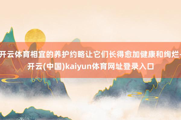 开云体育相宜的养护约略让它们长得愈加健康和绚烂-开云(中国)kaiyun体育网址登录入口