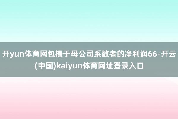 开yun体育网包摄于母公司系数者的净利润66-开云(中国)kaiyun体育网址登录入口
