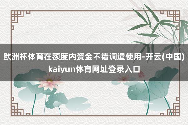 欧洲杯体育在额度内资金不错调遣使用-开云(中国)kaiyun体育网址登录入口