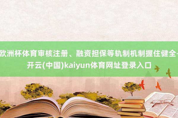 欧洲杯体育审核注册、融资担保等轨制机制握住健全-开云(中国)kaiyun体育网址登录入口