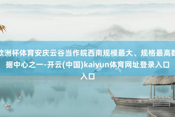欧洲杯体育安庆云谷当作皖西南规模最大、规格最高数据中心之一-开云(中国)kaiyun体育网址登录入口