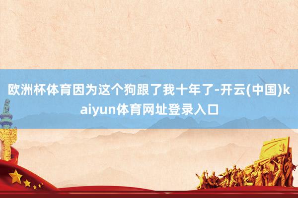 欧洲杯体育因为这个狗跟了我十年了-开云(中国)kaiyun体育网址登录入口